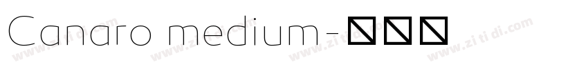 Canaro medium字体转换